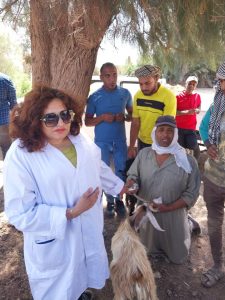 ميرفت ميلاد الطبيبة البيطرية بالوادى الجديد