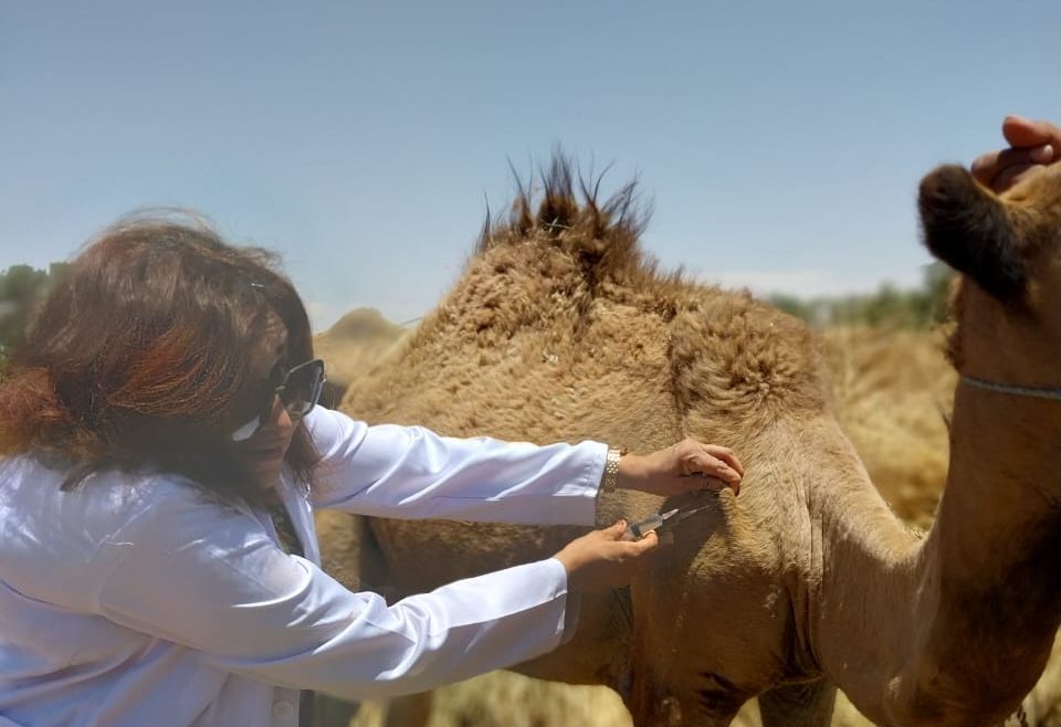 ميرفت ميلاد الطبيبة البيطرية