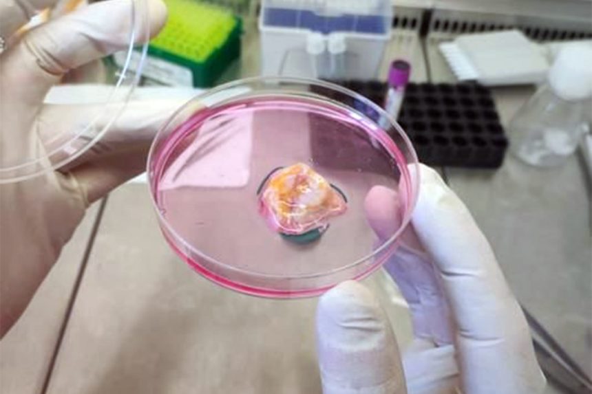 مركزأبو ظبي يطور علاجا للسرطان