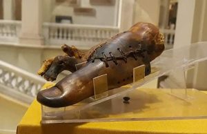 يبلغ عمر أقدم طرف صناعي في العالم والذي تم تركيبه في مصرنحو 3 آلاف عام