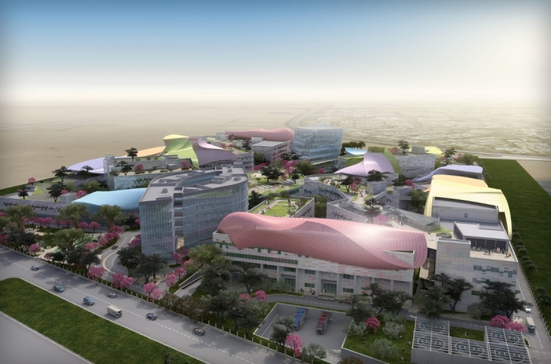 مجمعات تعليمية لذوي الهمم