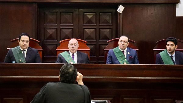 محكمة المنصورة تحيل أوراق متهم بقتل طفل من ذوي الإعاقة للمفتي