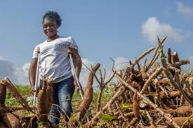 ذوو الإعاقة في نيجيريا يبحثون عن الحق في الرعاية الصحية