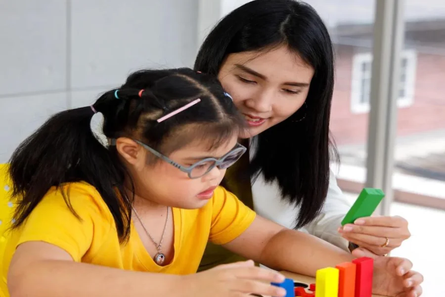 الشادو تيتشر (الصورة من الإنترنت)