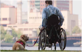 الحيوانات المساعدة لذوي الإعاقة