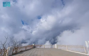 متنزهات الباحة السياحية تستقبل ذوي الإعاقة في السعودية