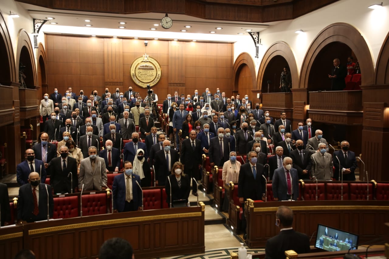 مجلس الشيوخ المصري