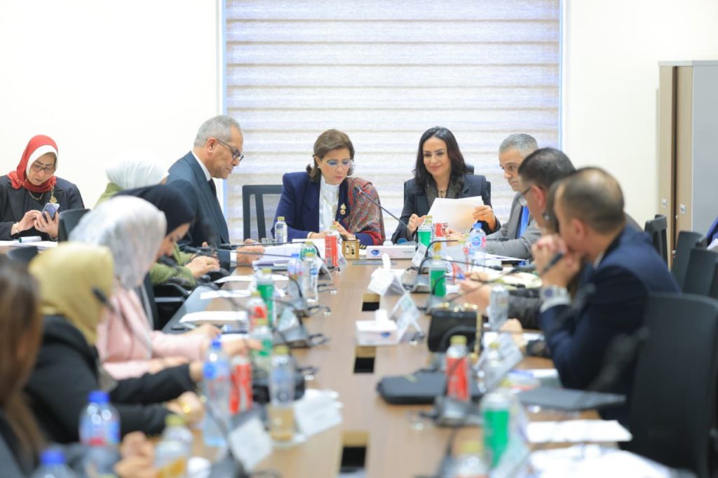 قانون ذوي الإعاقة بمصر